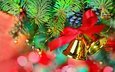 новый год, елка, хвоя, колокольчики, рождество, шишки, декор