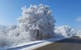 небо, дорога, деревья, снег, природа, зима, кусты, иней