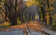 деревья, железная дорога, рельсы, природа, лес, листья, парк, осень