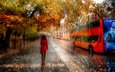 деревья, девушка, город, осень, улица, дождь, зонт, автобус