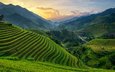 холмы, природа, закат, пейзаж, плантации, вьетнам, chanwity, му кан чай