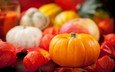 осень, урожай, овощи, тыквы, тыква, натюрморт, физалис, дары осени