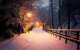 свет, ночь, фонари, природа, зима, парк, mario zanella