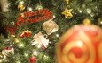новый год, елка, рождество, елочные игрушки, гирлянда, mascolo stefano