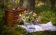 цветы, трава, природа, букет, корзина, полевые цветы, книга, пикник, коврик