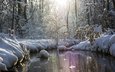 река, природа, лес, зима