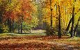 арт, деревья, листья, картина, пейзаж, парк, осень, живопись, małgorzata rawicka