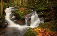 река, природа, камни, лес, листья, водопад, осень, мох