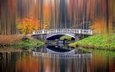 река, природа, лес, пейзаж, парк, мост, осень, боке