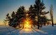 солнце, снег, природа, лес, зима, рассвет, канада, viktor elizarov