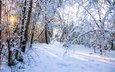 природа, лес, зима, valery chernodedov
