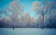 небо, деревья, снег, природа, лес, зима, березы, kamil porembinski