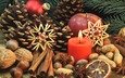 новый год, орехи, звезды, корица, яблоко, свеча, рождество, шишки, пряности