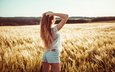 поле, горизонт, попа, колосья, пшеница, волосы, девушка модель, джинсовые шорты