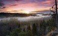 деревья, восход, лес, пейзаж, утро, туман, национальный парк, финляндия