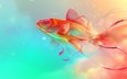 золотая рыбка, рыба, подводный мир, цифровое искусство