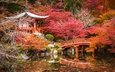 деревья, храм, парк, листва, мост, осень, пагода, япония, поток
