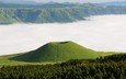 деревья, лес, туман, япония, вулкан, кумамото, вулкан асо