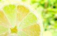 фрукты, лимон, лайм, крупный план, цитрусы, цитрусовые