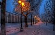 свет, дорога, деревья, фонари, снег, природа, зима, парк, улица