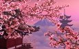 небо, цветы, дерево, цветение, гора, пагода, япония, весна, сакура