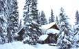 деревья, снег, лес, зима, дом, домик