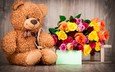 цветы, розы, мишка, игрушка, букет, подарок, день святого валентина, 14 февраля, святого, медвежонок