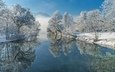 деревья, река, зима, отражение, иней