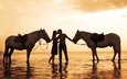 закат, девушка, пляж, лошади, мужчина, поцелуй, влюбленная
