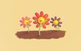 цветы, настроение, фон, лепестки, весна, стебли, цветочки