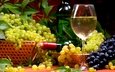 виноград, вино, бутылка, бокалы, алкоголь, натюрморт