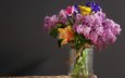 цветы, ветки, тюльпаны, ваза, сирень, банка, ирисы
