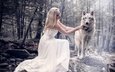 лес, девушка, платье, взгляд, волосы, лицо, волк, фотоманипуляция