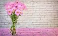 цветы, букет, розовый, ваза, маргаритки