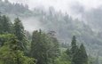 деревья, горы, природа, лес, туман, национальный парк