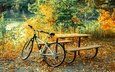 природа, берег, листья, настроение, парк, ветки, осень, стол, скамейки, пруд, отдых, желтые, листопад, велосипед, уют, велик