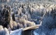 дорога, лес, зима, иней