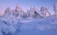 деревья, снег, зима, домик, сугробы, избушка, хижина, финляндия, лапландия