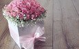 цветы, розы, букет, розовые, лента, подарок, коробка, цветком