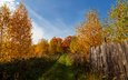 деревья, пейзаж, осень, забор