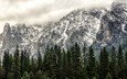 облака, горы, лес, сша, национальный парк йосемити, штат калифорния