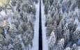 дорога, лес, зима, вид сверху