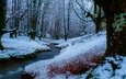 река, снег, природа, лес, зима, ручей