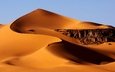 природа, песок, пустыня, бархан, алжир