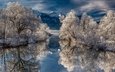 деревья, озеро, снег, природа, зима, отражение