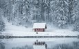 деревья, озеро, снег, природа, лес, зима, отражение, лёд, дом