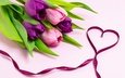 цветы, сердце, букет, тюльпаны, лента