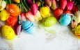 цветы, весна, тюльпаны, пасха, праздник, крашеные яйца