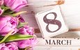 тюльпаны, розовые, 8 марта