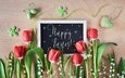 цветы, ландыши, тюльпаны, пасха, праздник, anya ivanova